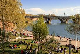 Quai de la daurade avec  de la verdure et vue sur le pont neuf.